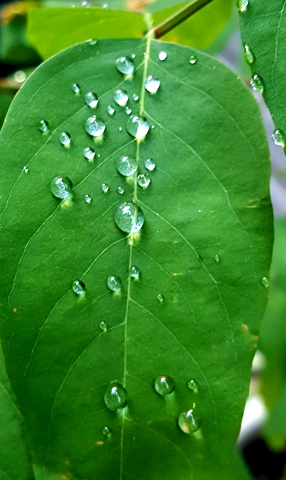 A little rain