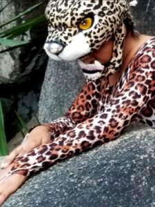 Jaguar photo