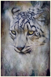 Animal nature mammal