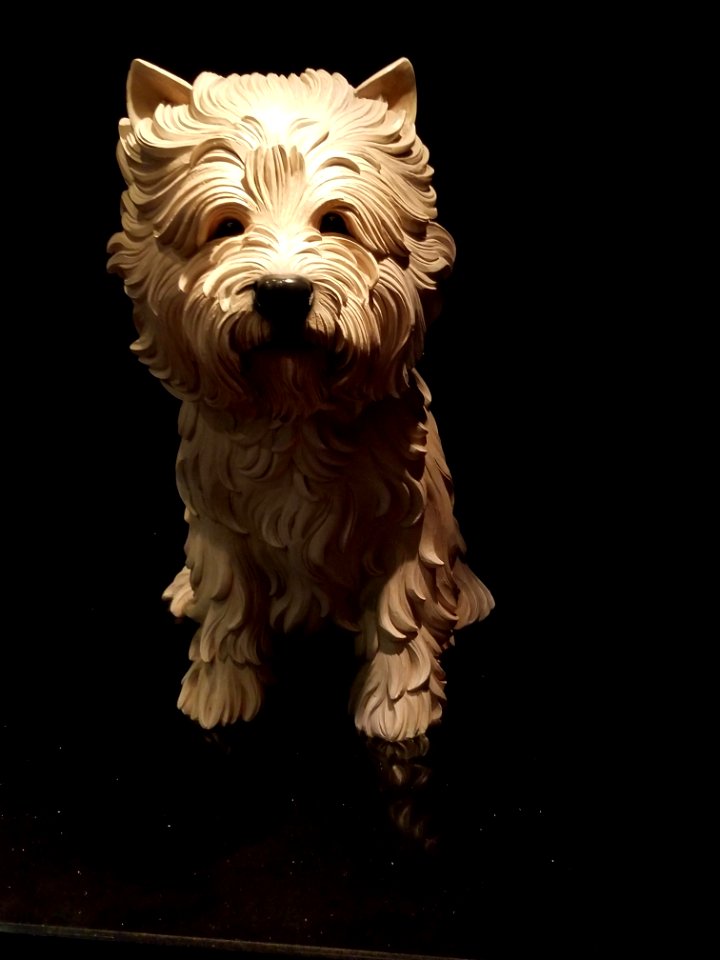 Day 186 white terrier