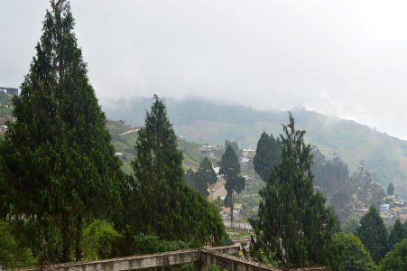 DSC 0305