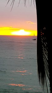 20170126 164408 001 (2)