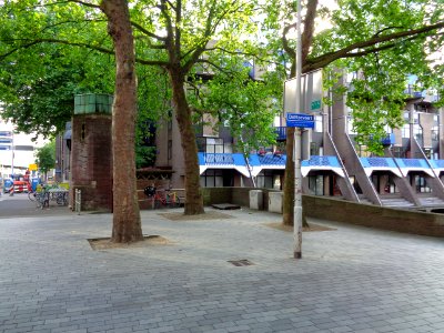 DSC00810