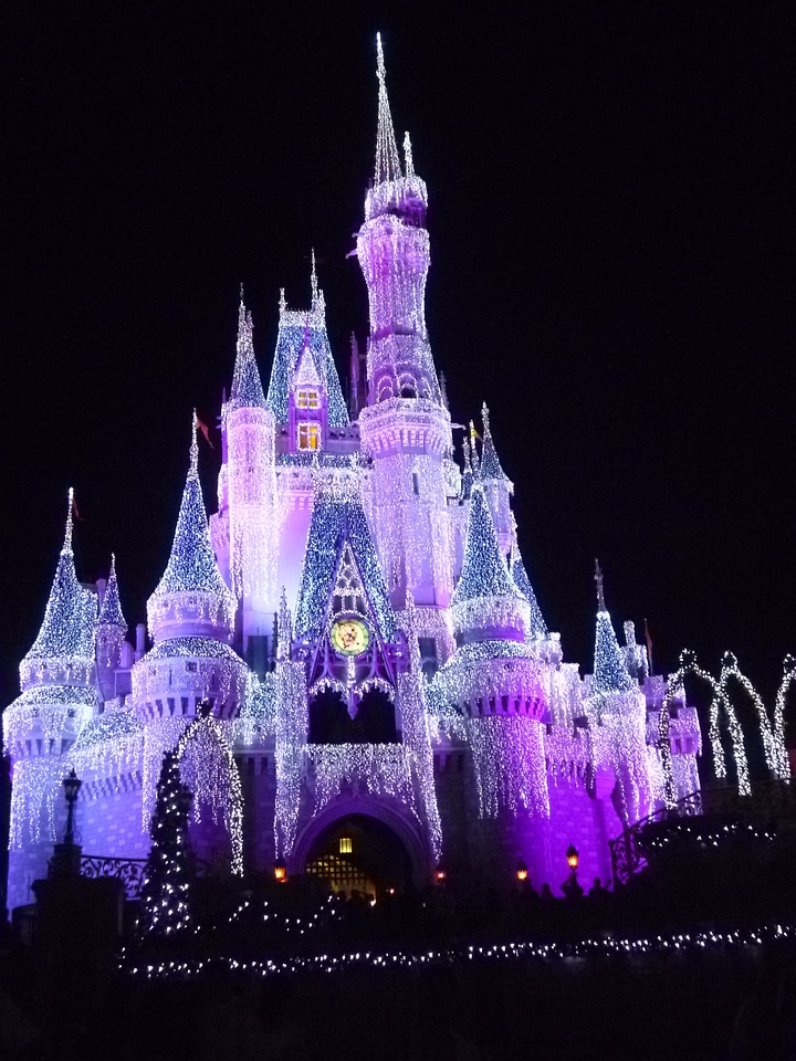 Fantasy princess tower