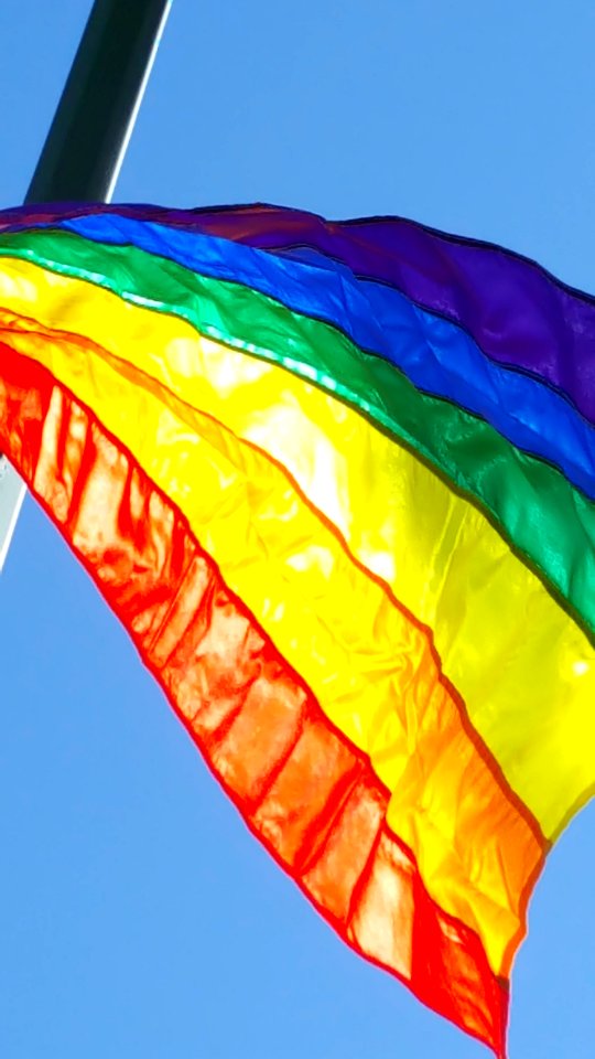 Day 235 pride flag
