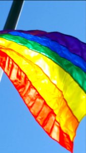 Day 235 pride flag