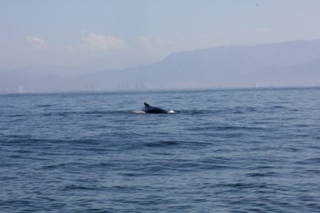 IMG 8552
