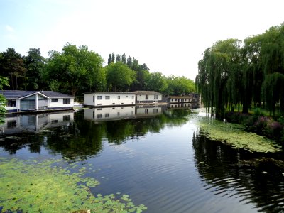 DSC01106