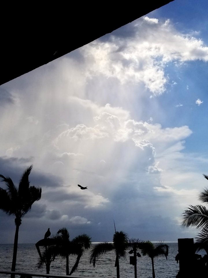 Day 275 storm brewing