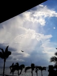 Day 275 storm brewing