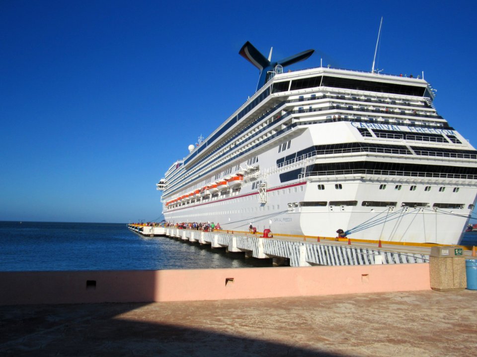 Cruise Life
