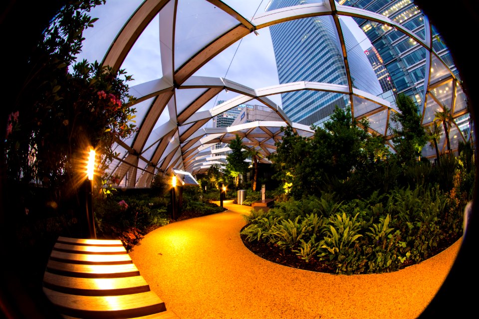 Sunset at the Roof Garden