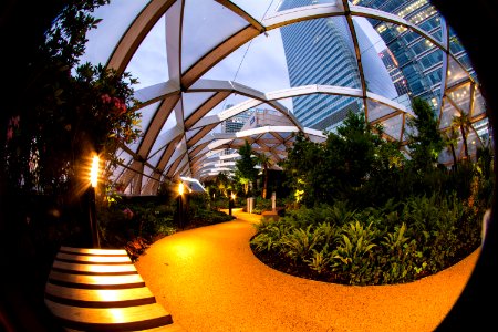 Sunset at the Roof Garden