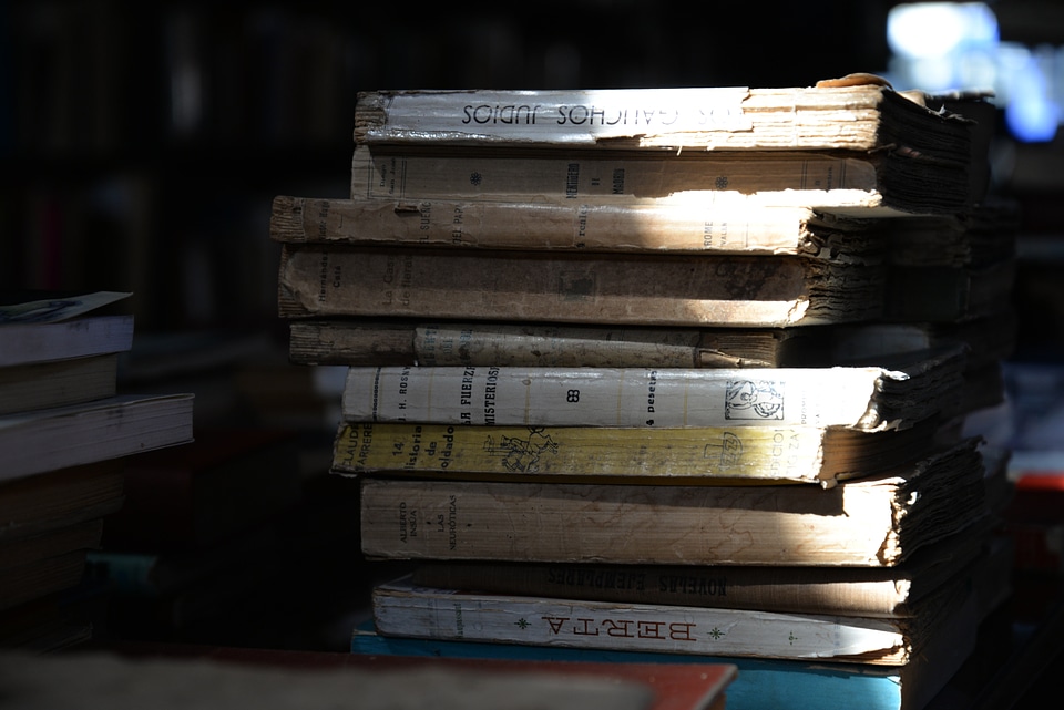 Library perspective read