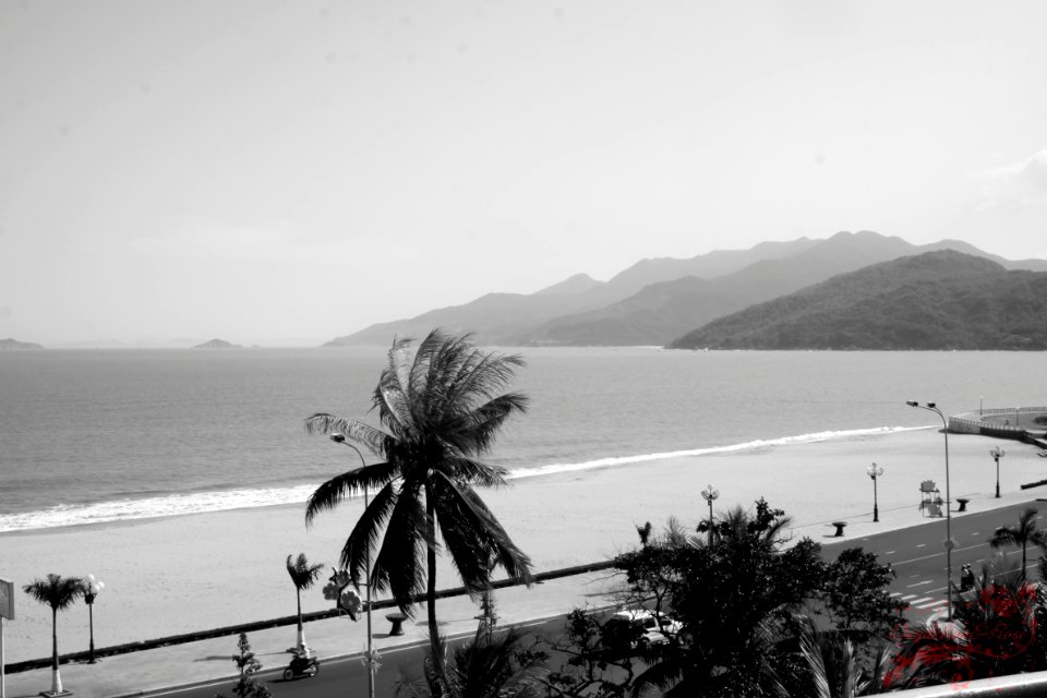 Quy Nhơn - Bình Định -Việt Nam