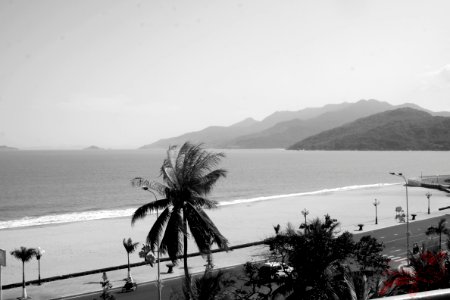 Quy Nhơn - Bình Định -Việt Nam