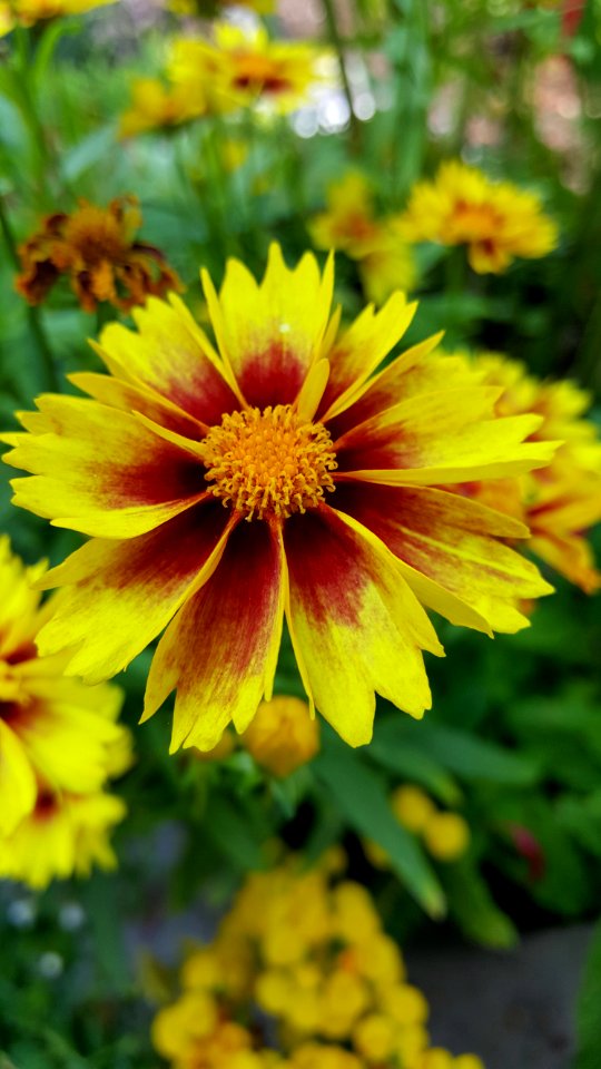Warm colour palette