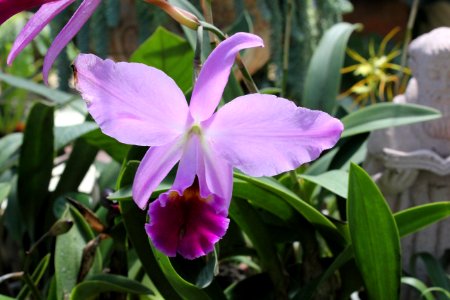 180 Botanical Gardens, Puerto Vallarta