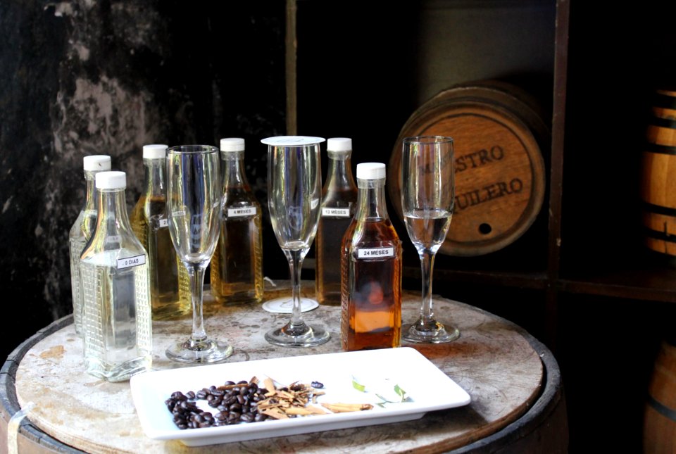 Tequila Cuervo tasting