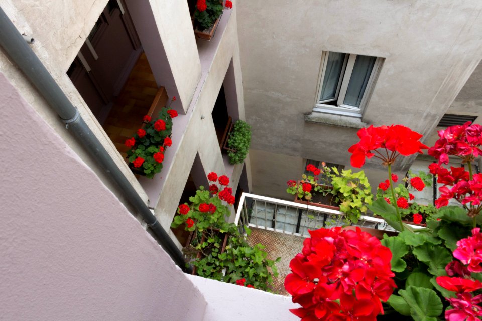 Looking down on the hotel courtyard