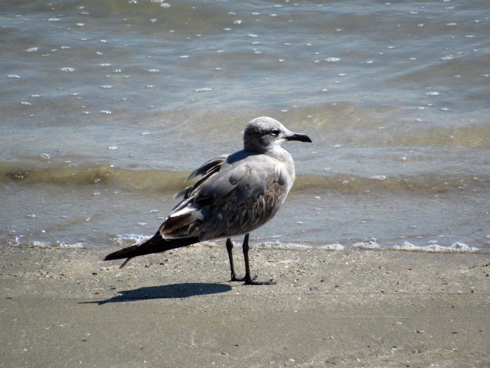 Simple Life At The Beach