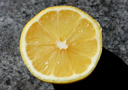 #365 lemon photo