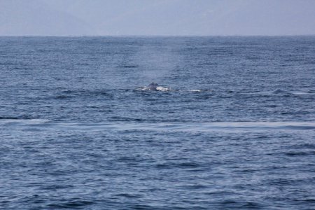 IMG 8507