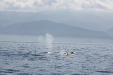 IMG 8571