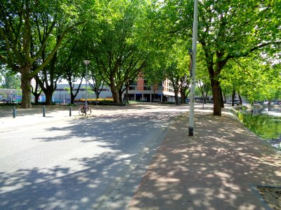 DSC01031