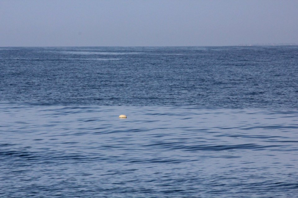 IMG 8599