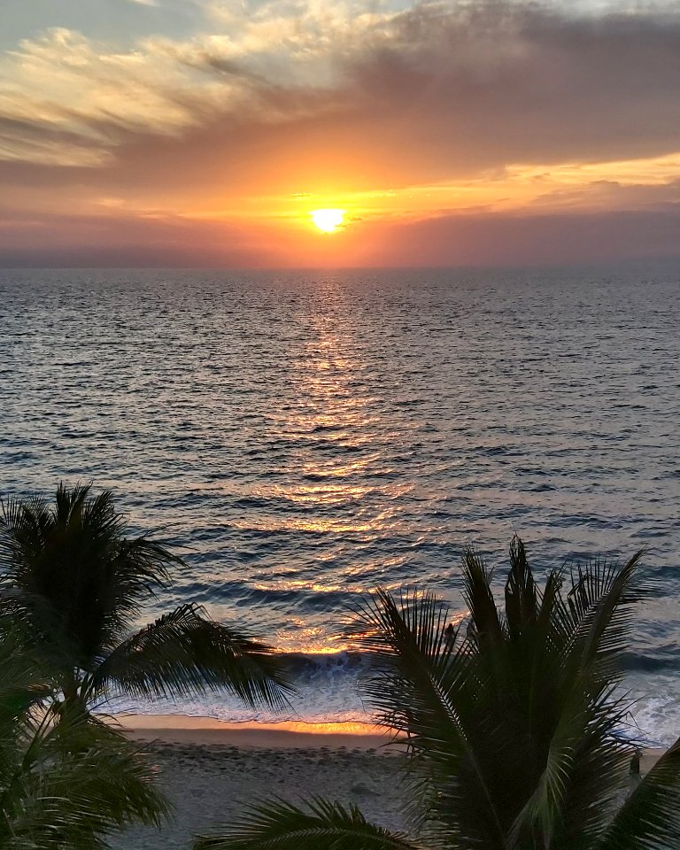 IMG 20200117 195120 494