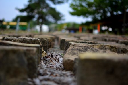 another brick in the wall