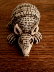 Day 325 armadillo