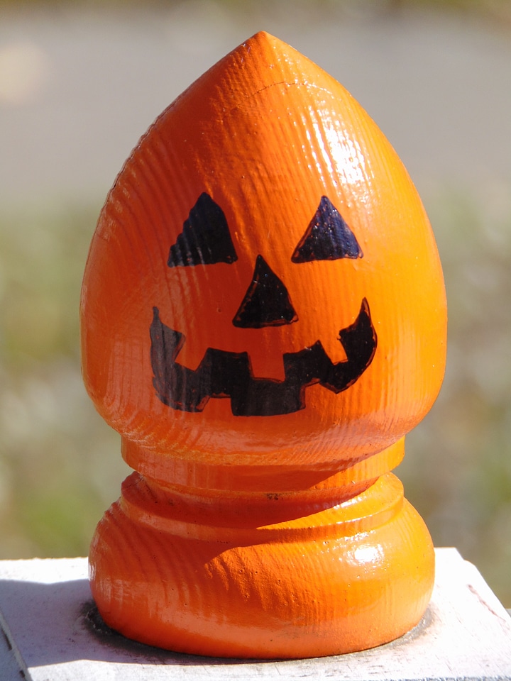 Holiday orange pumpkin photo