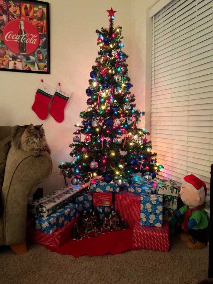 Oh Christmas Tree
