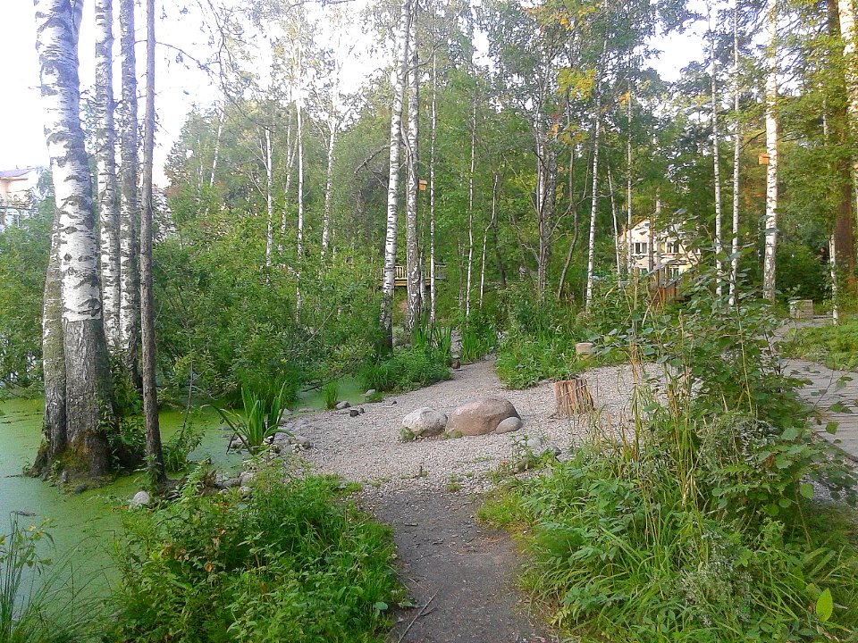 Утиное озеро, Академгородок, Новосибирск