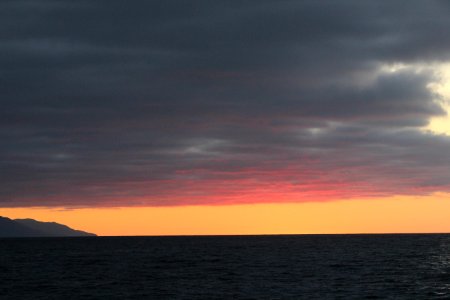 IMG 8437