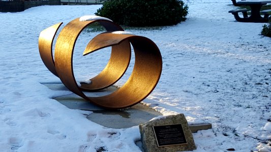 Day 11 #365photo I saw the Doug Senft sculpture in a new light today