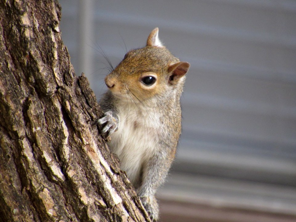 What's Up?