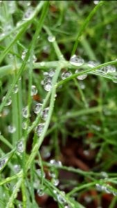 Day 169 water drop super-highway
