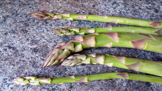 #365 first asparagus photo