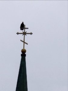 eagle on the church in Sitka