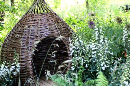 Chelsea Flower Show 2018-71