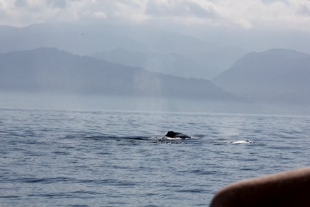 IMG 8576