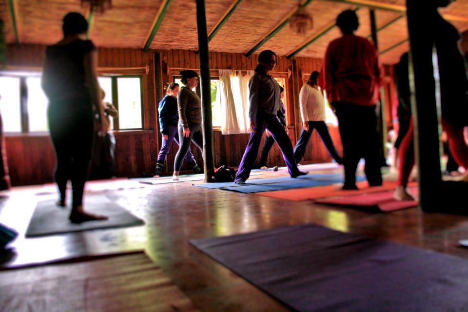 Eco Yoga