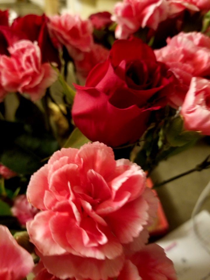 Red pink red