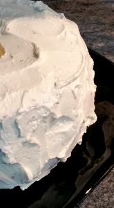 #365 chiffon cake