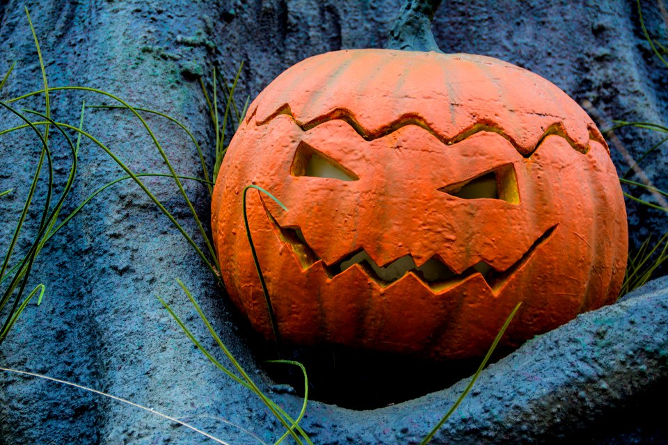 Pumpkin 4