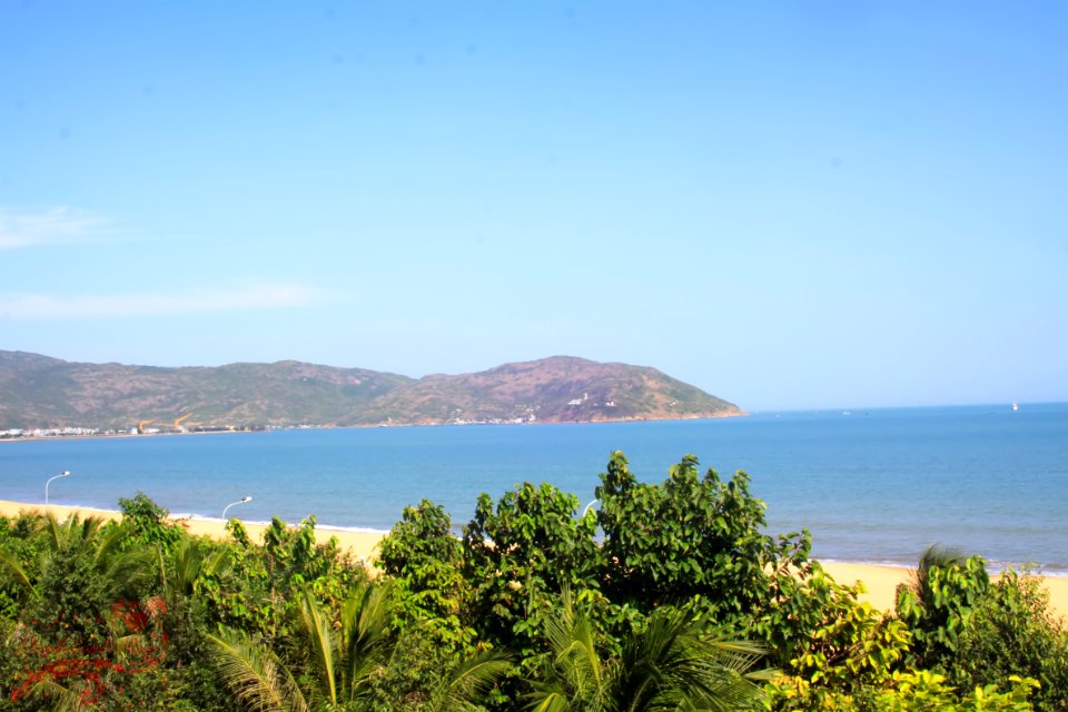 Quy Nhơn - Bình Định -Việt Nam