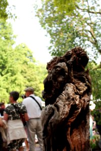 Chelsea Flower Show 2018-3